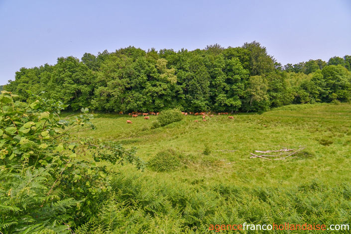 Image No.44-3 Bed House for sale