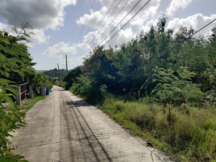 Image No.3-Terre à vendre à St Johns