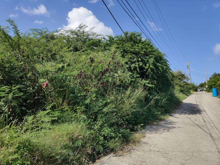 Image No.6-Terre à vendre à St Johns