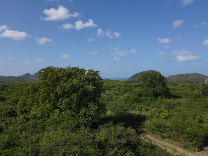 Image No.5-Land for sale