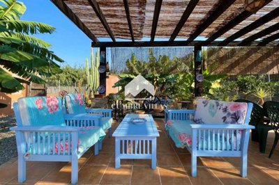 20250826133125000000img9655