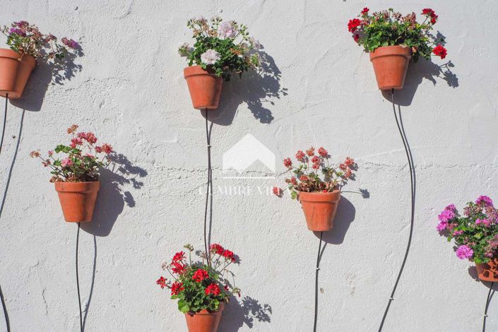 Image No.23-14 Bed Country House for sale