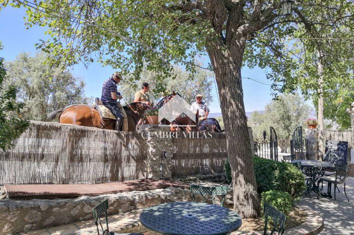 Image No.52-14 Bed Country House for sale