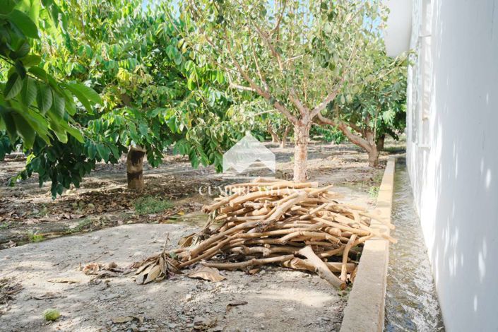 Image No.55-Maison de campagne de 3 chambres à vendre à Salobreña