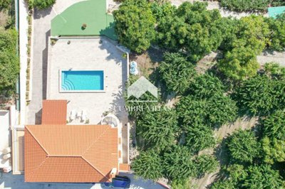 20231026134414000000djifly2023092116261028416