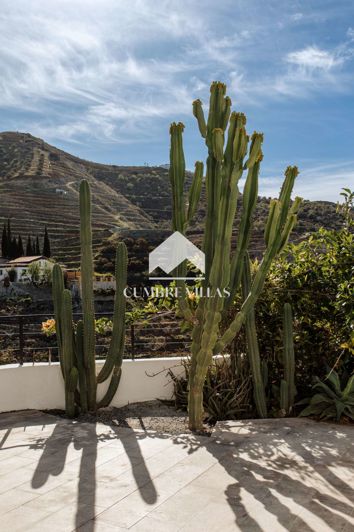 Image No.35-Maison de campagne de 8 chambres à vendre à La Herradura