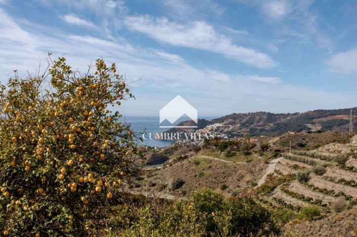 Image No.39-Maison de campagne de 8 chambres à vendre à La Herradura