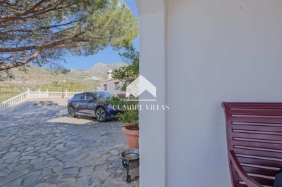 20250417164600000000dsf3915