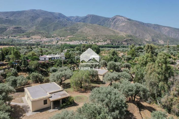 Image No.3-Maison de campagne de 6 chambres à vendre à Orgiva