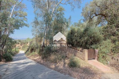 20250710134550000000dsf6107-2