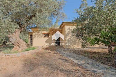 20250710113617000000dsf5985