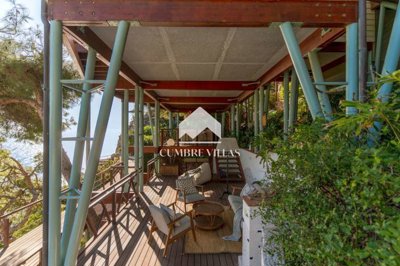 20250225151921000000dsa3741