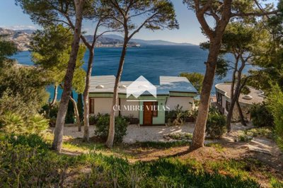 20250225151925000000dsa3784