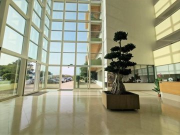 1654-630402-78d1f4f8b6655591b02d22fabb36a692d