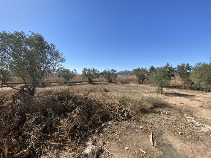 Image No.17-4 Bed Country House for sale