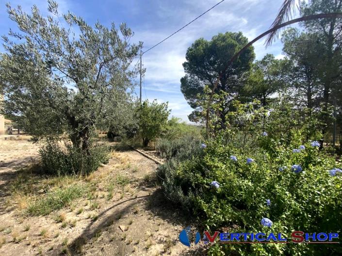 Image No.19-2 Bed Country Property for sale