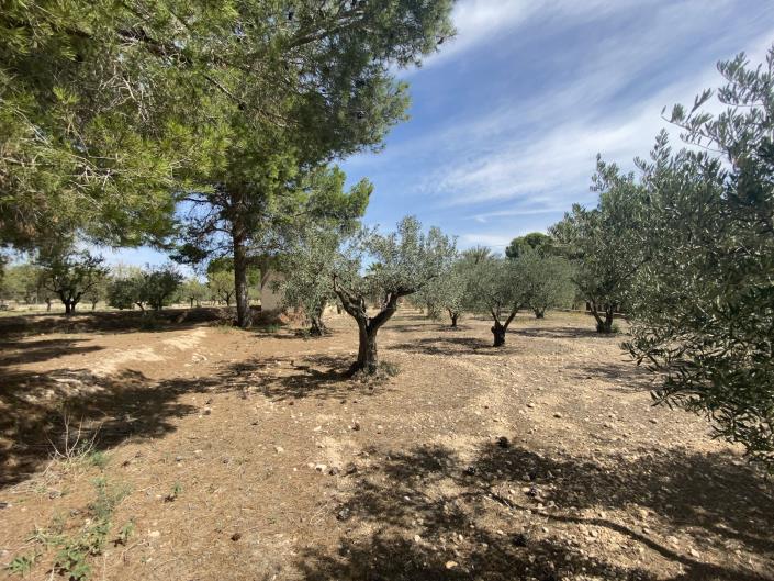 Image No.22-2 Bed Country Property for sale