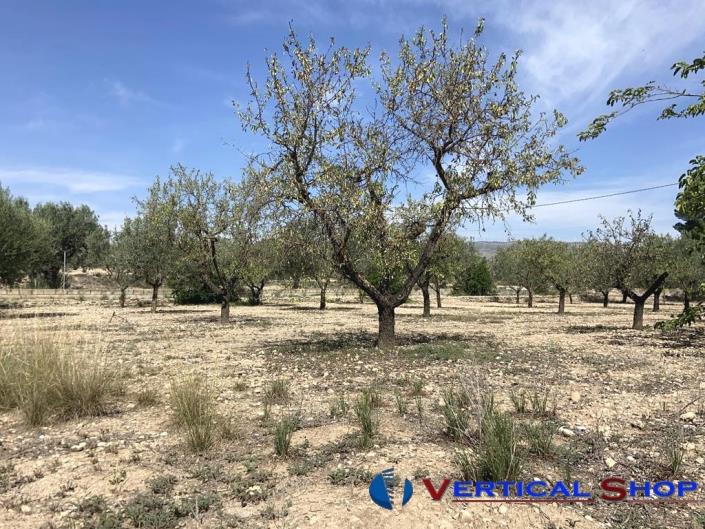 Image No.24-2 Bed Country Property for sale