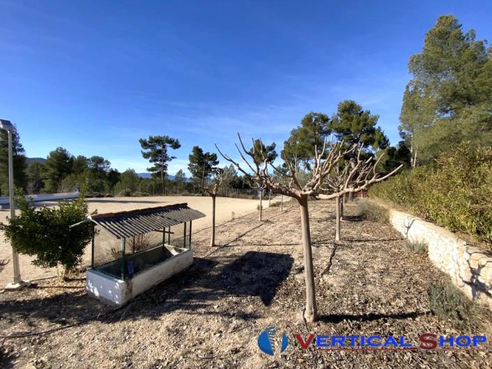 Image No.32-Propriété de pays de 5 chambres à vendre à Caudete