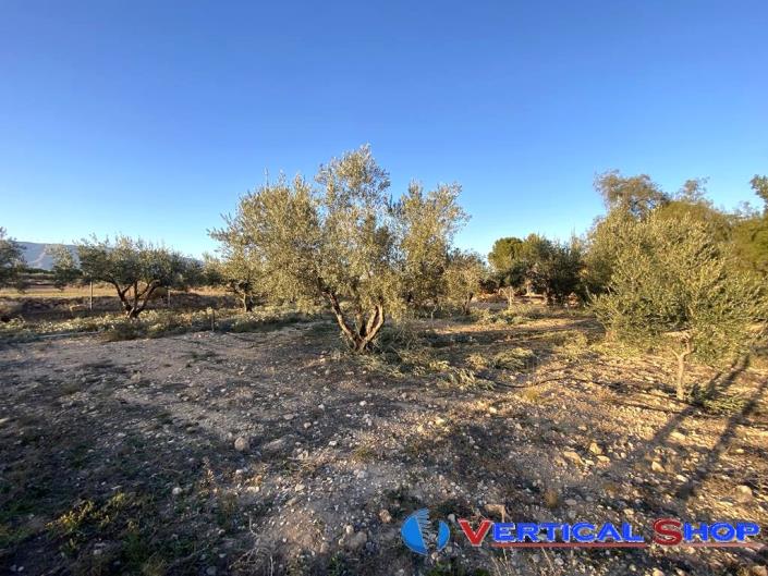 Image No.12-Propriété de pays de 3 chambres à vendre à Caudete