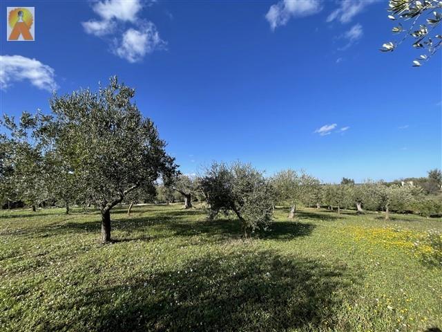 Image No.55-3 Bed Trullo for sale
