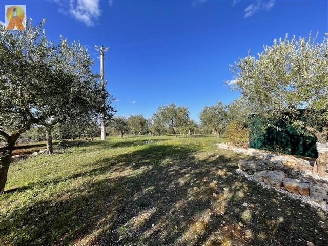 Image No.56-3 Bed Trullo for sale