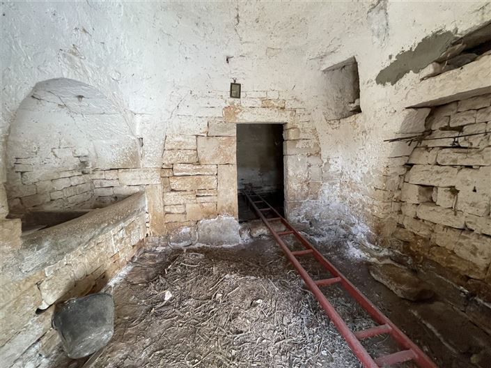 Image No.23-Maison de campagne de 3 chambres à vendre à Martina Franca