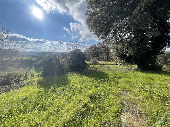 Image No.30-Maison de campagne de 3 chambres à vendre à Martina Franca