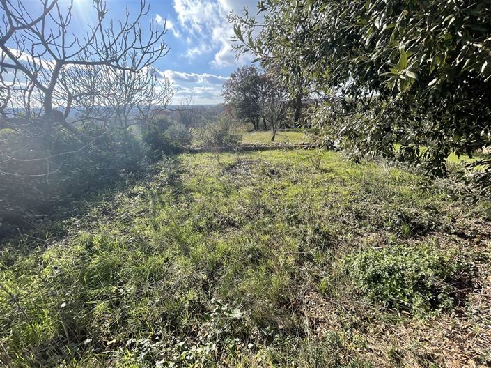 Image No.31-Maison de campagne de 3 chambres à vendre à Martina Franca