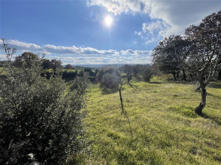 Image No.32-Maison de campagne de 3 chambres à vendre à Martina Franca