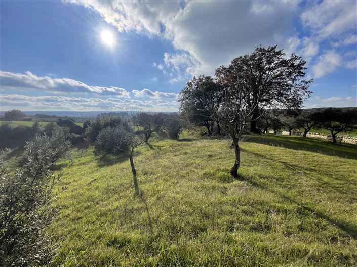 Image No.33-Maison de campagne de 3 chambres à vendre à Martina Franca