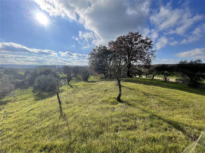 Image No.34-Maison de campagne de 3 chambres à vendre à Martina Franca