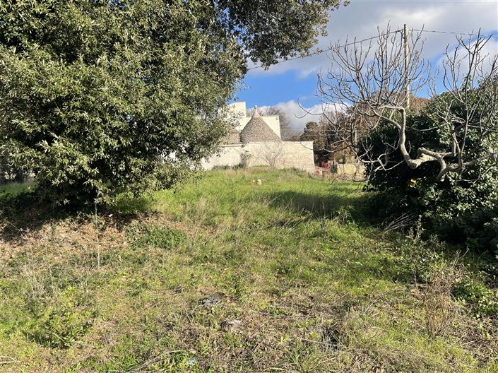 Image No.35-Maison de campagne de 3 chambres à vendre à Martina Franca