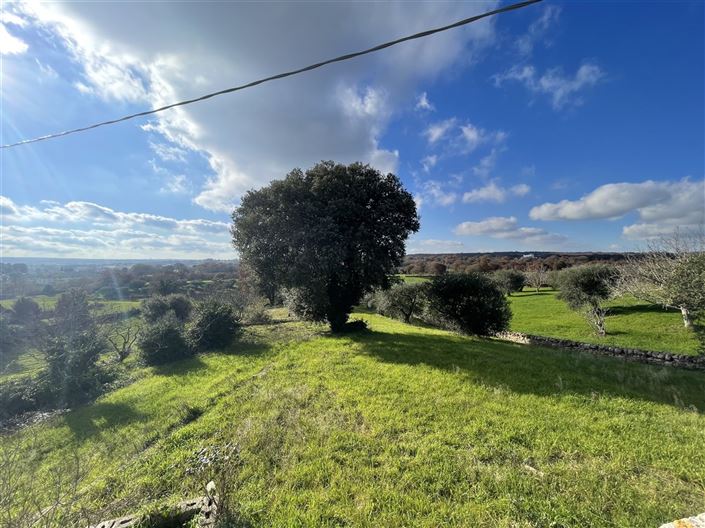 Image No.37-Maison de campagne de 3 chambres à vendre à Martina Franca