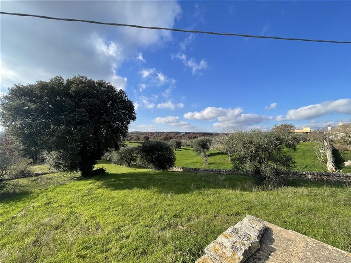 Image No.38-Maison de campagne de 3 chambres à vendre à Martina Franca