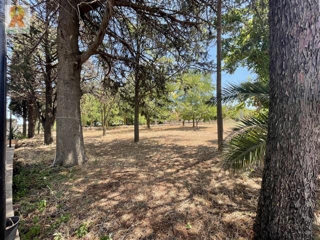 Image No.33-Propriété de pays de 3 chambres à vendre à Martina Franca