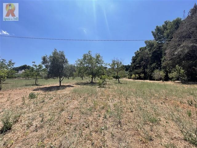 Image No.35-Propriété de pays de 3 chambres à vendre à Martina Franca