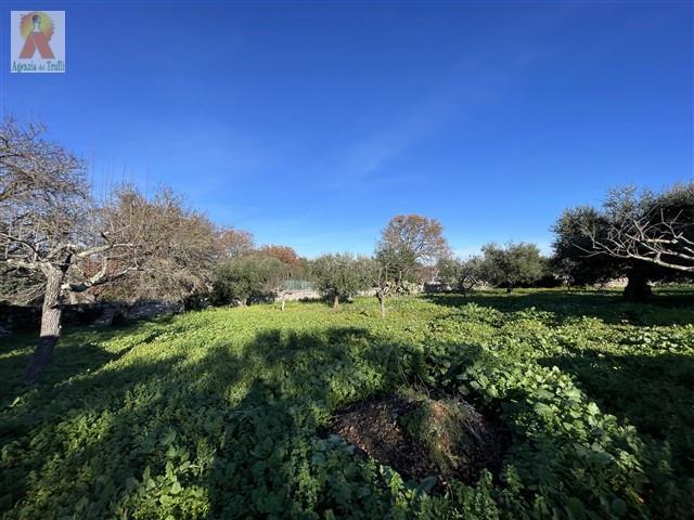 Image No.14-4 Bed Trullo for sale