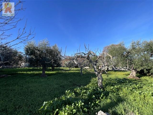 Image No.19-4 Bed Trullo for sale