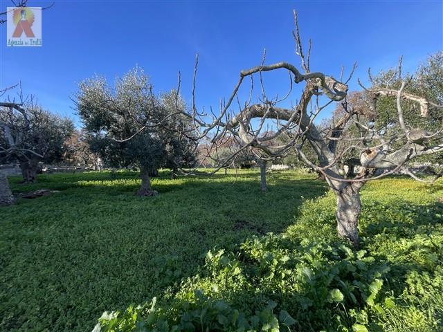 Image No.20-4 Bed Trullo for sale