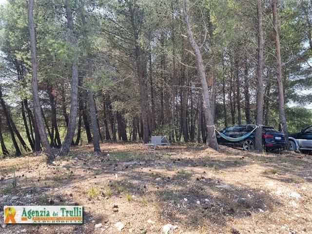 Image No.44-Trullo de 2 chambres à vendre à Martina Franca