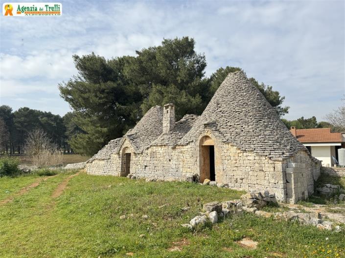 Image No.8-Propriété de pays de 2 chambres à vendre à Martina Franca