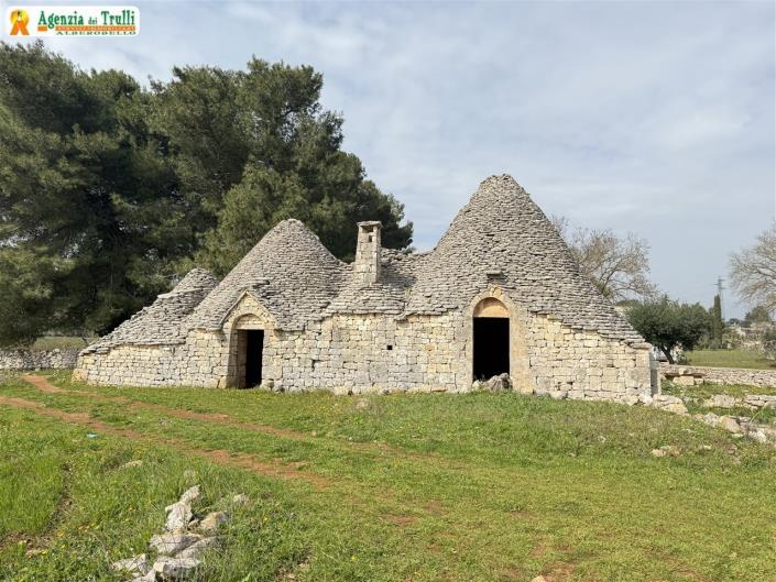 Image No.9-Propriété de pays de 2 chambres à vendre à Martina Franca