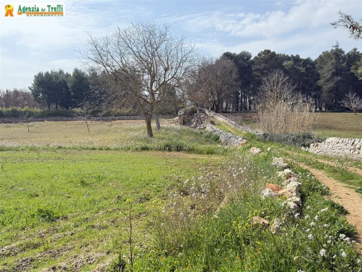 Image No.27-Propriété de pays de 2 chambres à vendre à Martina Franca