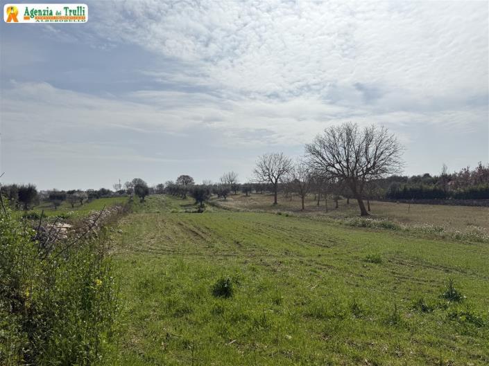 Image No.28-Propriété de pays de 2 chambres à vendre à Martina Franca