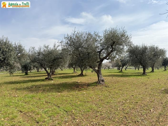 Image No.29-Propriété de pays de 2 chambres à vendre à Martina Franca