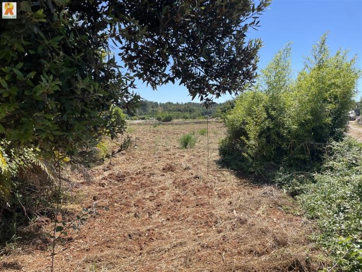 Image No.25-2 Bed Trullo for sale