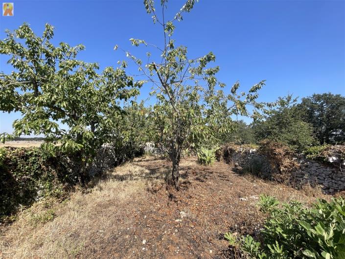 Image No.46-1 Bed Trullo for sale