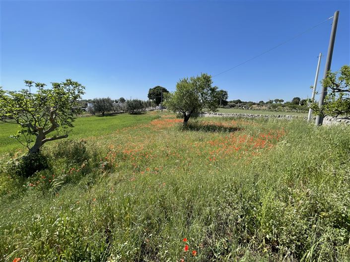 Image No.23-Ferme de 4 chambres à vendre à Cisternino