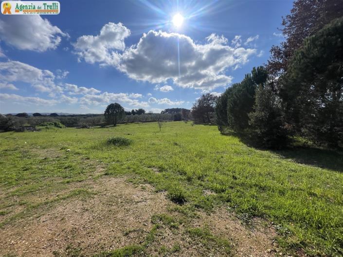 Image No.39-1 Bed Trullo for sale